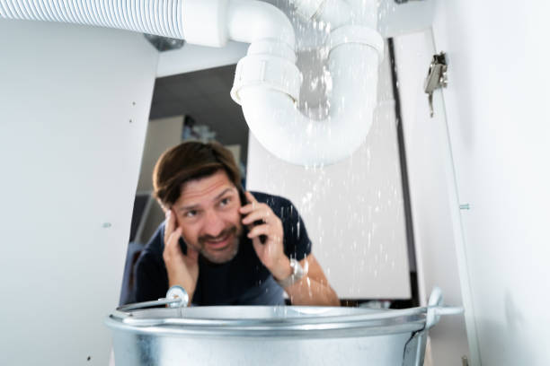 Best Septic Systems  in Jasper, TN